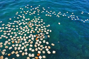 bread upon the water