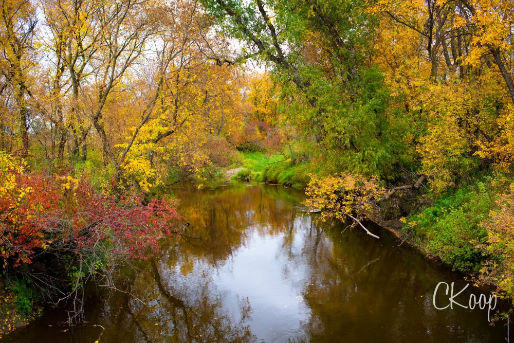 View More: http://ckoop.pass.us/watermarkedlandscapes