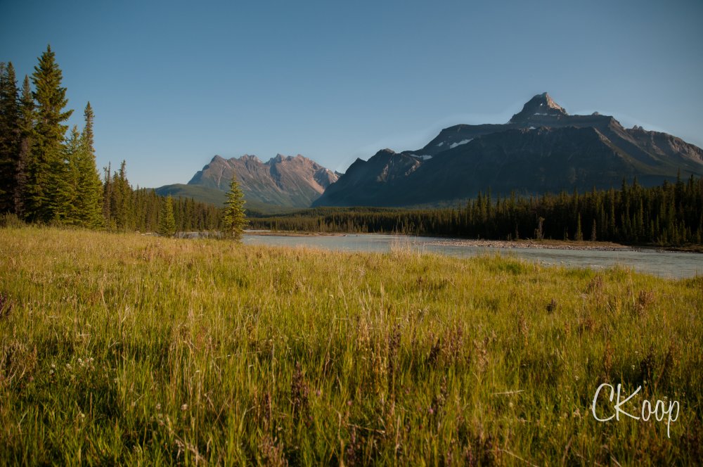 View More: http://ckoop.pass.us/watermarkedlandscapes