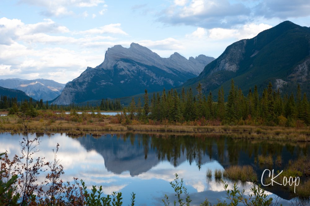 View More: http://ckoop.pass.us/watermarkedlandscapes