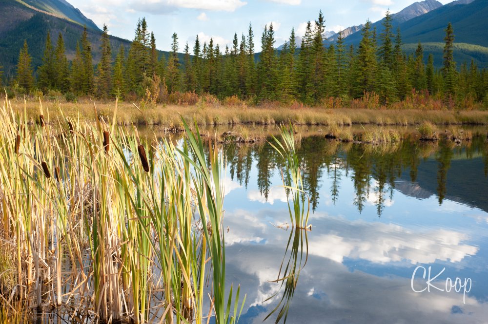 View More: http://ckoop.pass.us/watermarkedlandscapes