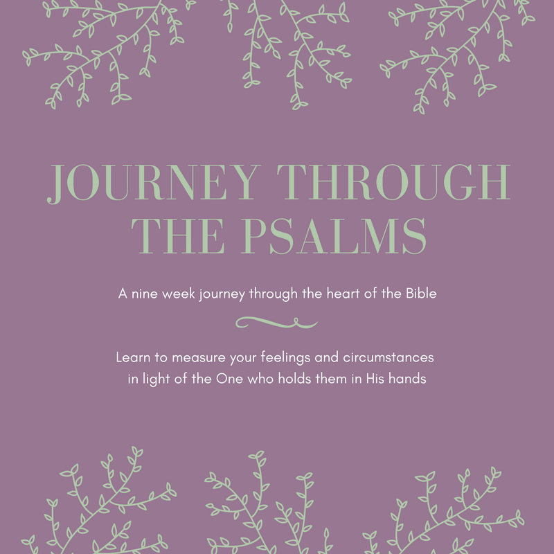 Journey Through the Psalms (2)