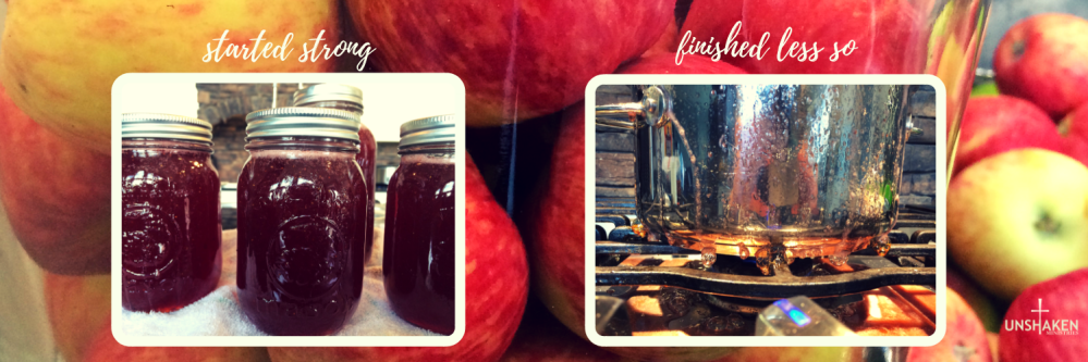 bushels of apples (18)