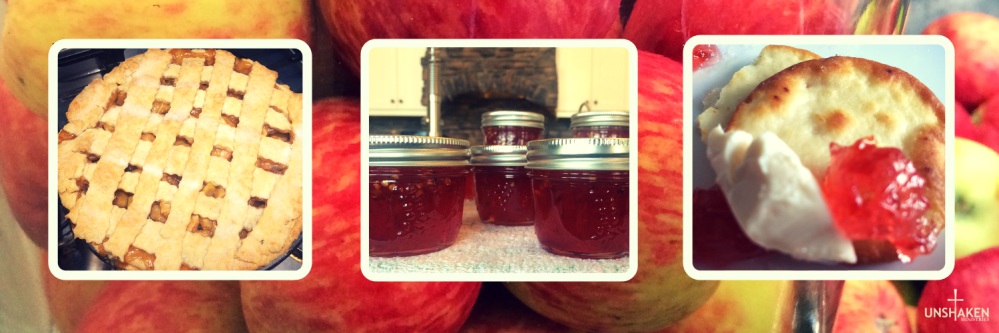 bushels of apples (20)